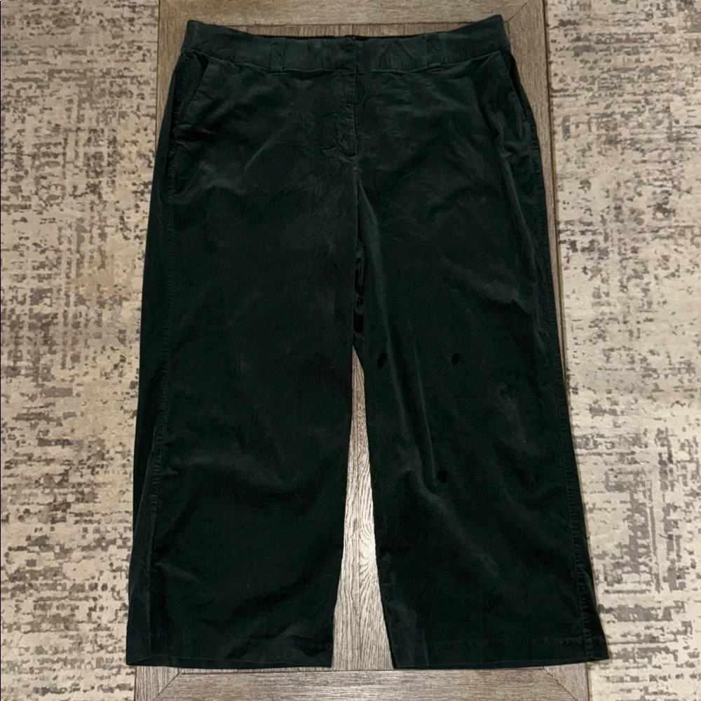Lane Bryant Corduroy Trouser Pants in Green 22 Short